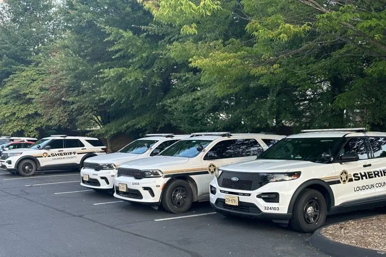 Search crews and dogs look across rural fields in Loudoun County for missing woman Carolyn Taylor