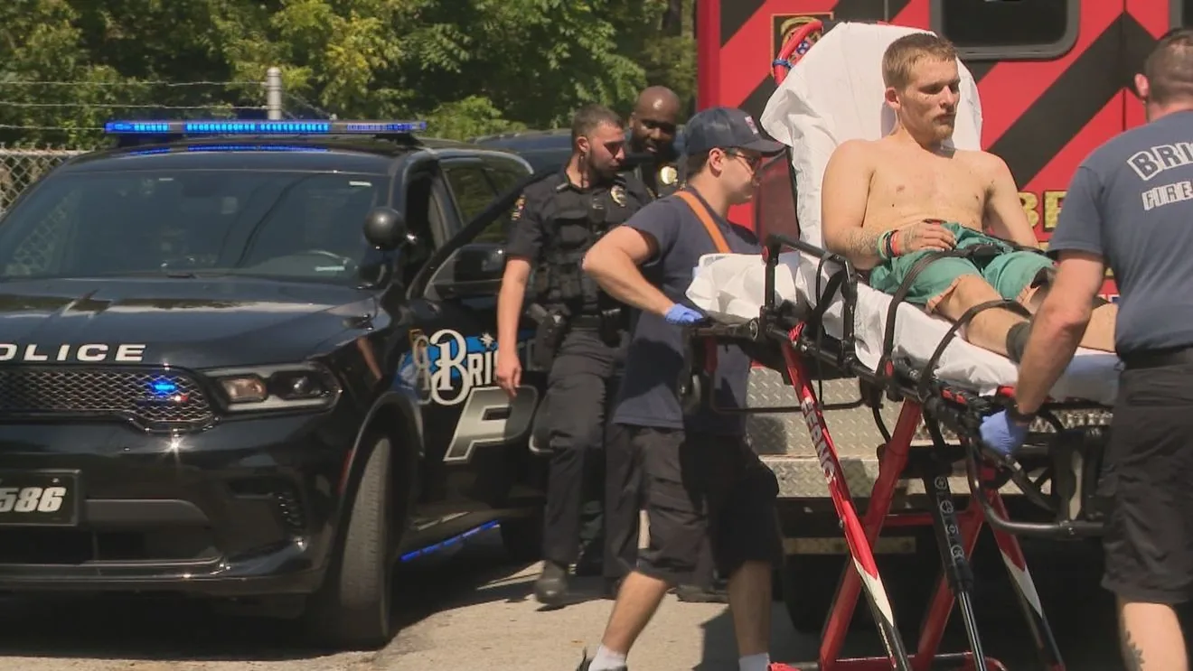 Police investigate a cross-border chase in Bristol after a suspect is taken into custody