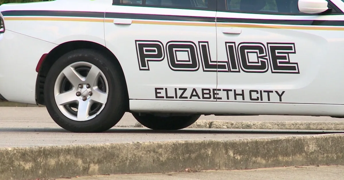 Police lights near Halstead Boulevard in Elizabeth City after a fatal hit-and-run crash
